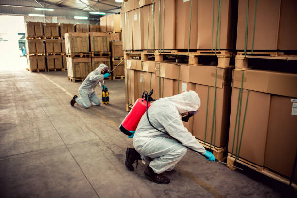Best Cockroach Control Services  in Cibecue, AZ