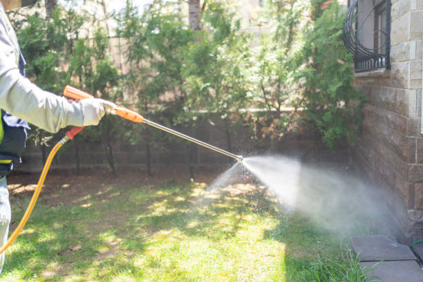Professional Pest Control in Cibecue, AZ