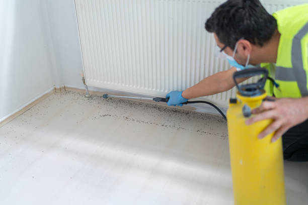 Pest Control Cost in Cibecue, AZ