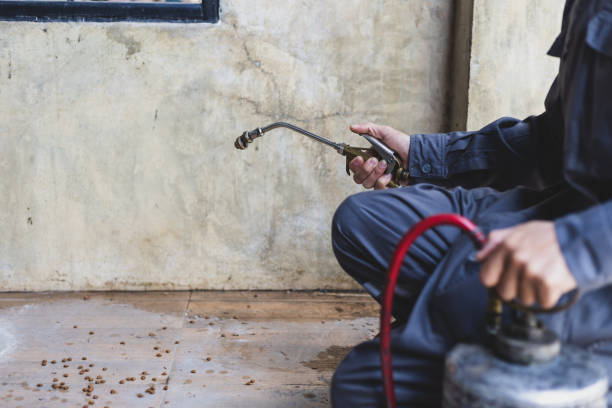 Cibecue, AZ Pest Control Company